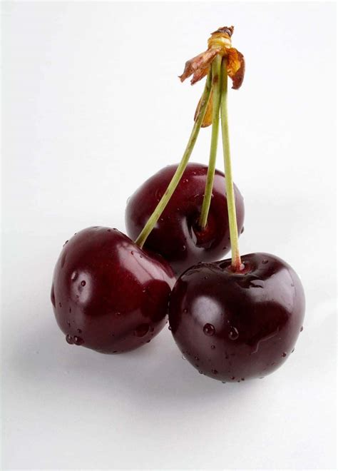 black cherry wallpaper